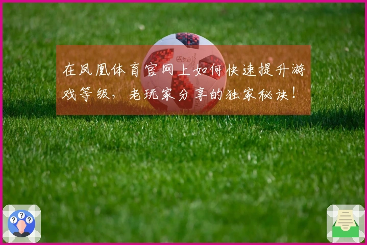 在凤凰体育官网上如何快速提升游戏等级，老玩家分享的独家秘诀！