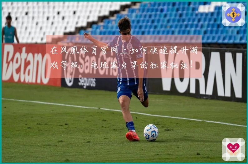 在凤凰体育官网上如何快速提升游戏等级，老玩家分享的独家秘诀！